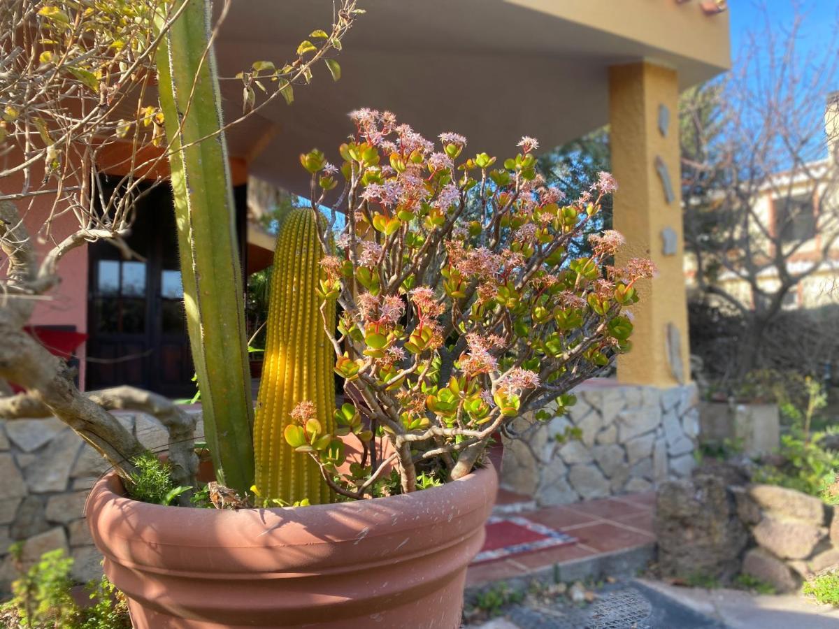 Lovely Home 5 Min Walk To The Beach, 3 Bedrooms Ample Outdoor Relax And Wifi Capitana Luaran gambar